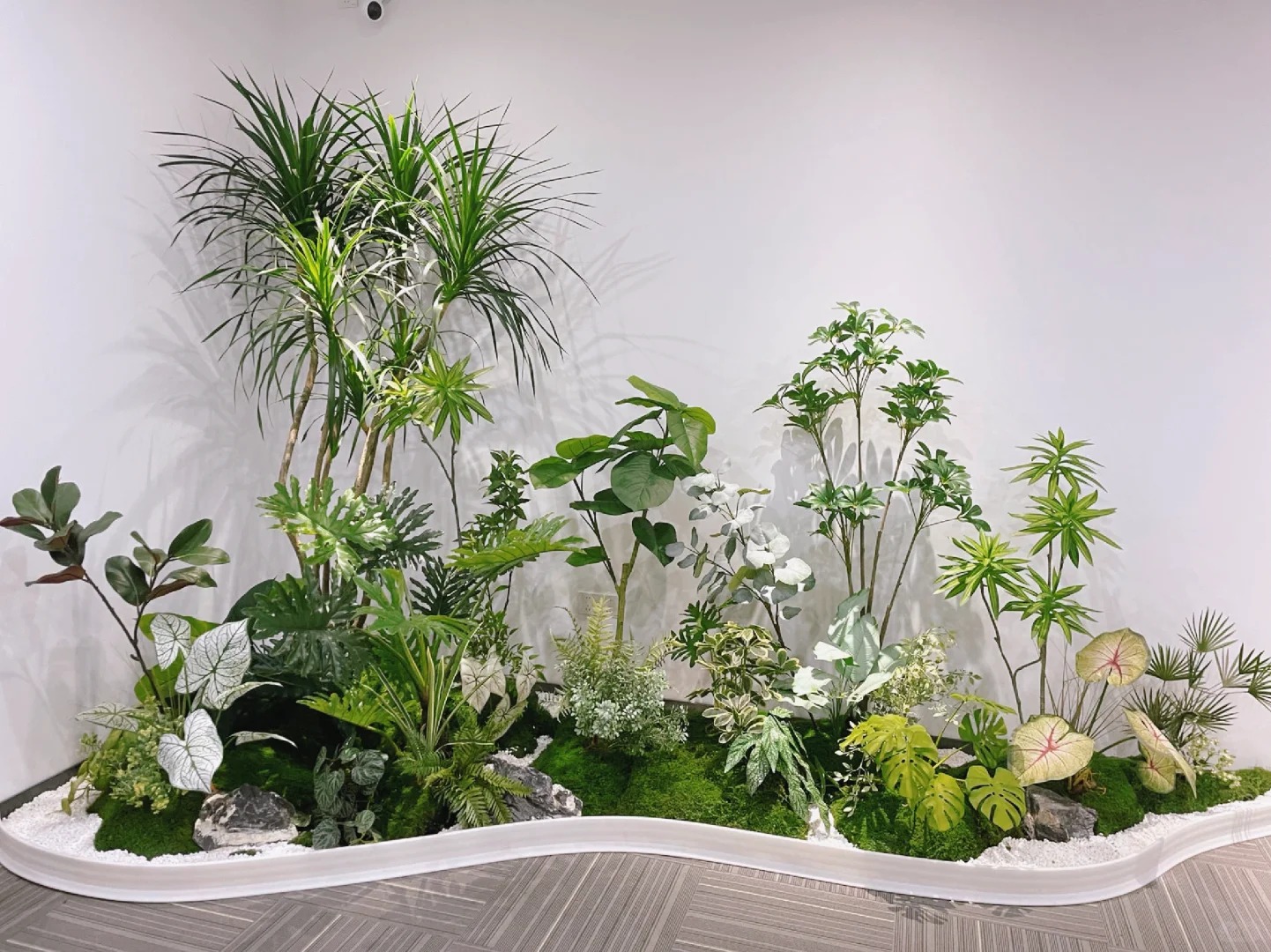 专业花木出租！宁波前湾这片绿植超惊艳，速来围观